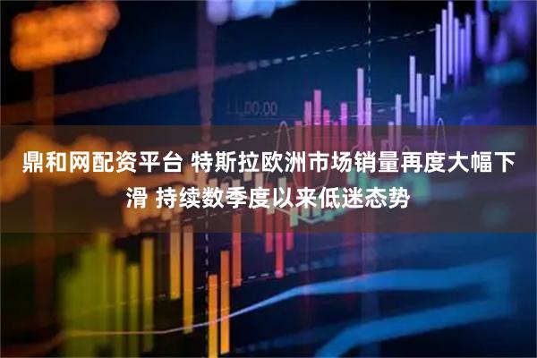 鼎和网配资平台 特斯拉欧洲市场销量再度大幅下滑 持续数季度以来低迷态势